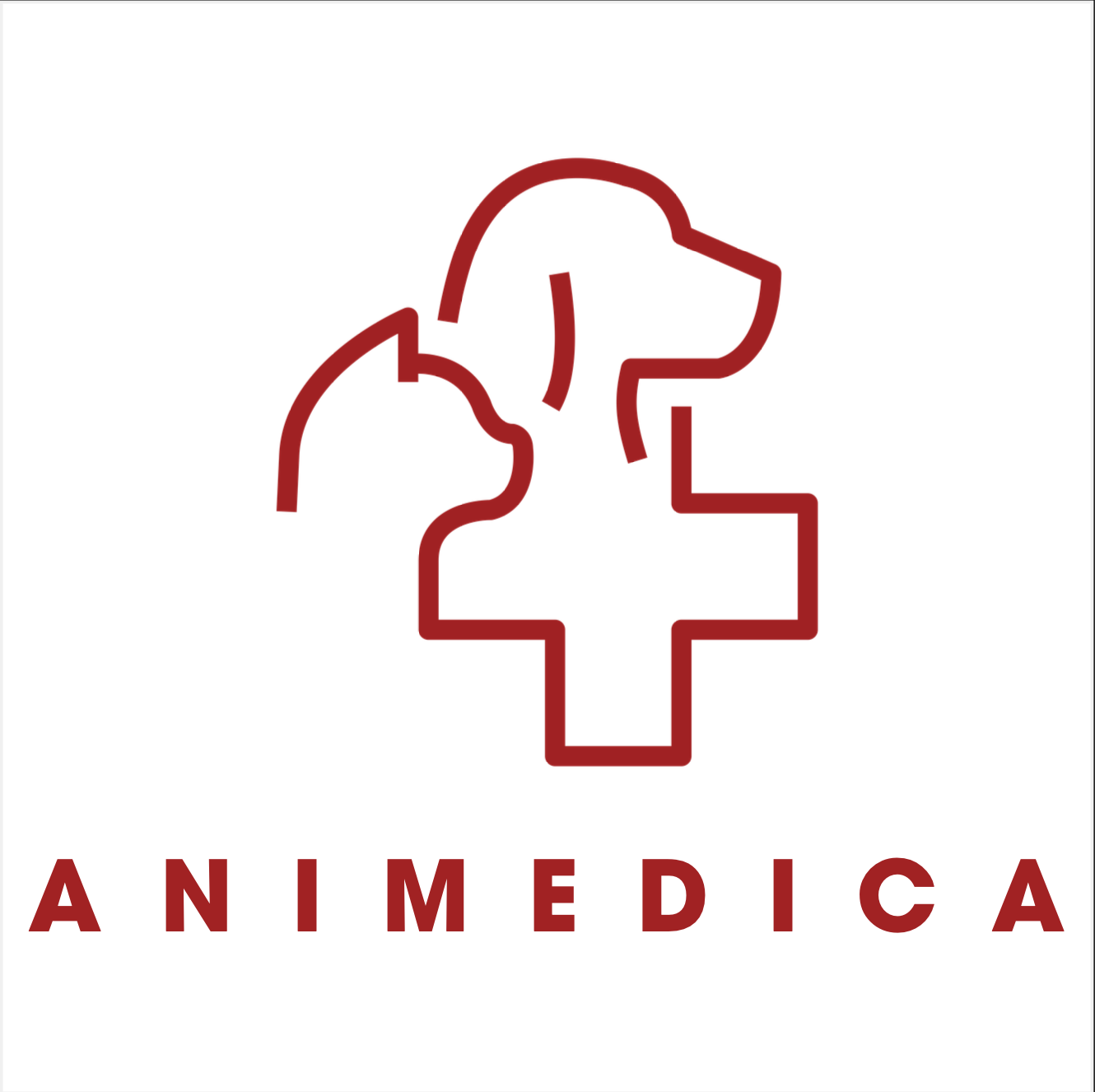 animedica